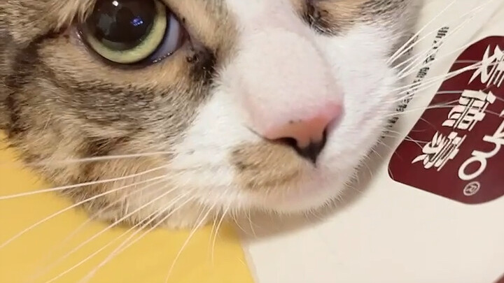 看看手相