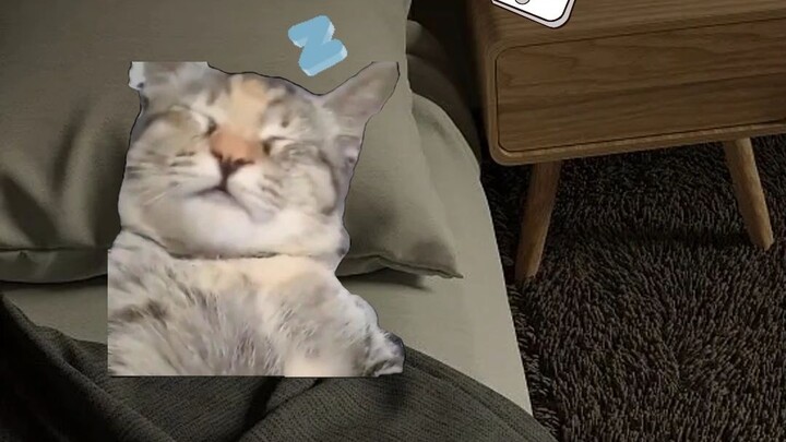 Khi bạn mở điện thoại vào buổi tối