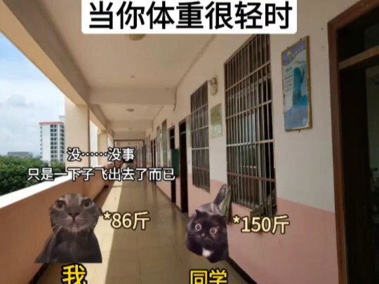 #CatMemeTheater When You're Very Light-Weighted