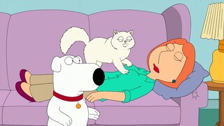 Family Guy: Cinta Brian pada Louis tidak bertahan selama bertahun-tahun, tapi seekor kucing yang mem