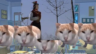 [Cat Meme] Tôi đã cosplay với Jia Baoyu như thế nào