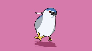 Life Goes On, but the Night Heron