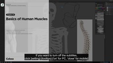 04. Basics of Human Muscles