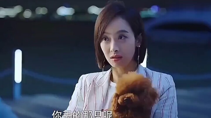 Karena seekor anjing peliharaan 🐶, aku berhasil dapat pacar!