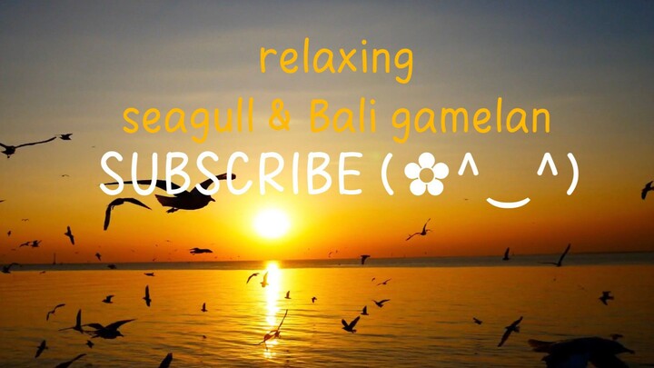 relaxing seagulls & Bali Gamelan sound