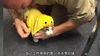 本该安乐死的猫咪被作为奖励送给监狱囚犯饲养，双向治愈的生命简直太美好了