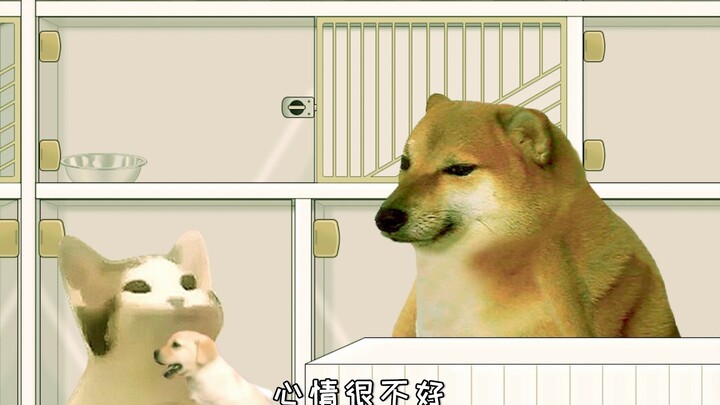 ชีมส์ การขุดคุ้ยหาความจริงอาจทำร้ายคนอื่น บางครั้งการแกล้งโง่กลับทำให้ทุกฝ่ายพอใจ