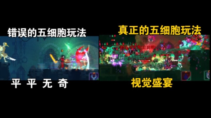 【Cell by Cell】Thế này mới đúng là năm tế bào!!