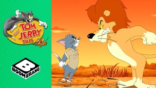 Tom & Jerry Go to Africa | Tom and Jerry Tales | Boomerang UK