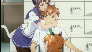 “老婆们”集体变成了可爱的猫娘，这样的后宫谁顶的住啊！