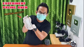 SOSMED EKSPERIMEN: VIRAL JELLY dan MENGISI GAS BUTANE MENGGUNAKAN GAS LPG