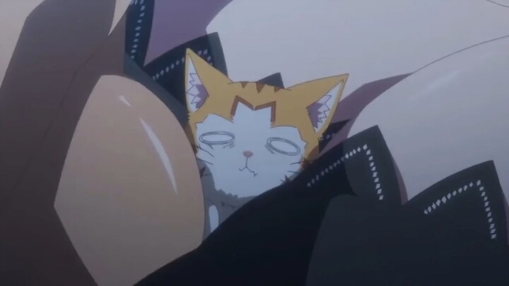 Anime yang Membuatmu ingin Menjadi Kucing 😻🥵 {AMV}