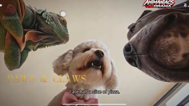 The Animal Doctor