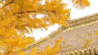 Lần đầu nấu ăn