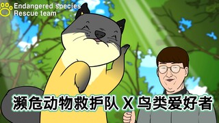 [濒危动物救护队] 貂