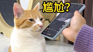 狗狗：够了！小猫咪不要面子嘛？