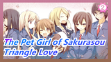 The Pet Girl of Sakurasou|[Misinformation]Triangle Love in Sakurasou_2