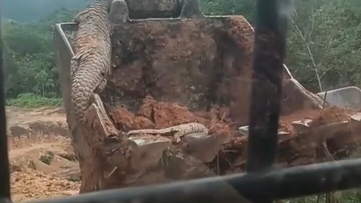 ขุดเจออันนี้ฉันยังมีทางรอดไหม?