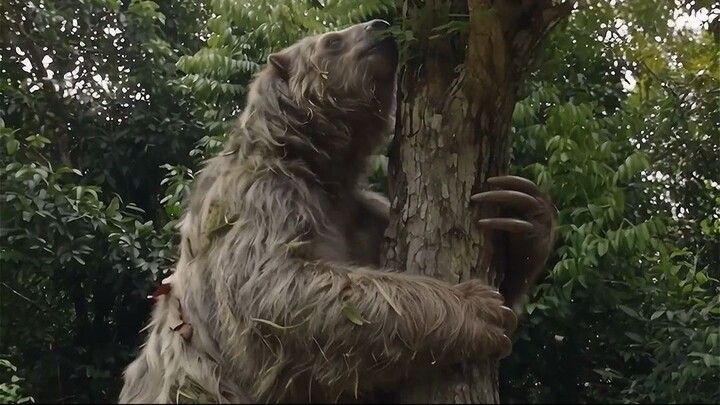 MEGATHERIUM vs SMILODON — WHO WOULD WIN? 🦥⚔️🐯