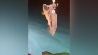 Sống chết phải có nhau chứ bạn funny clipvui cliphai