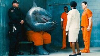 你绝对没见过这么爱学习的鲨鱼。