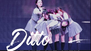 【中南大学毕业晚会】Ditto什么的和毕业晚会最配了啊啊气氛超好的鸭！！【毕晚Ditto直拍】