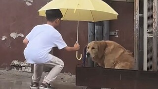 Puppy: We always hate naughty kids!