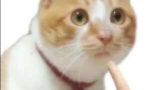 โอ้พระเจ้า??? จริงเหรอเนี่ย?