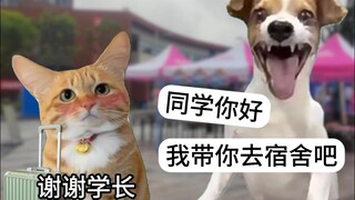 开学不要和学长走太近
