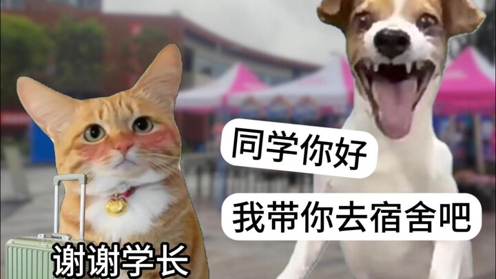 开学不要和学长走太近