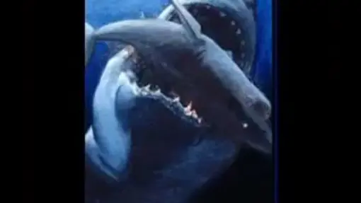 megalodon vs liopleurodon vs predator x