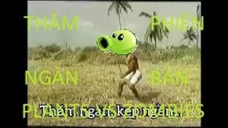 Thăm Ngàn ( Plants vs Zombies version )
