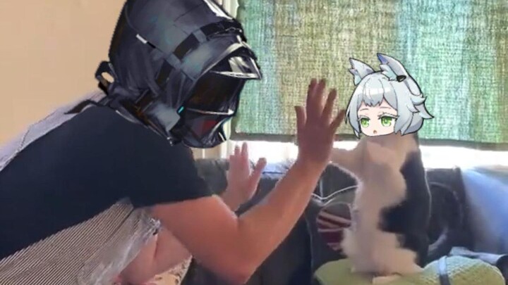 Meow Meow Fist!