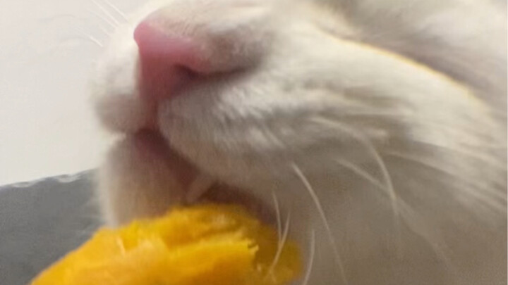 Sweet potatoes are so sweet!