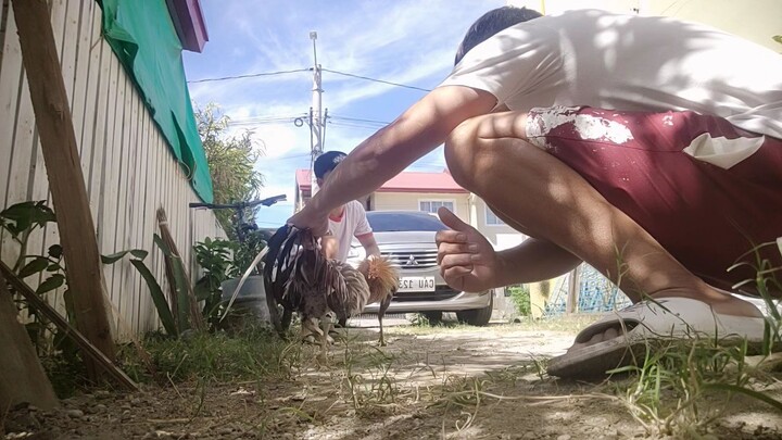 spar time pang feb18