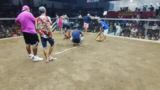 WALANG SUGAT