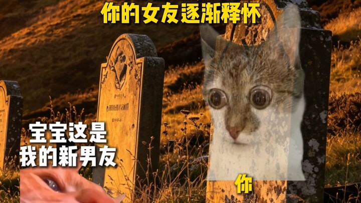 “Con ta tuy ngốc, nhưng thọ như rùa”