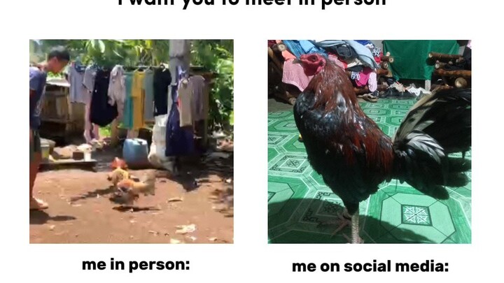 Biasaya nganii