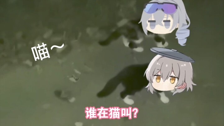 【星铁猫片】让聪明的开拓者，帮你想想办法