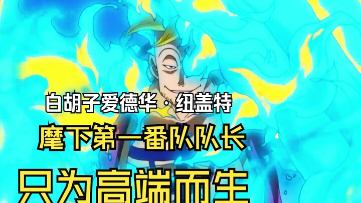 菠萝头马尔高的「高端局」