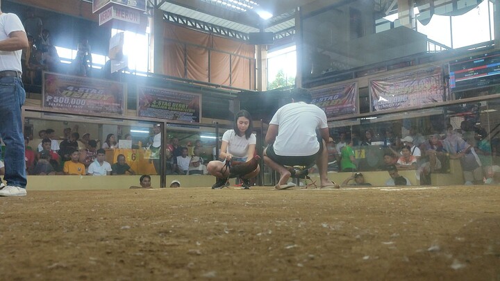 2hits 2nd fight win (champion)