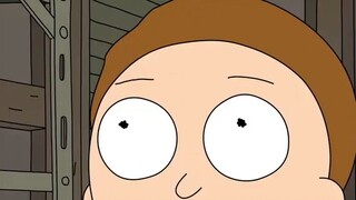 Họ đều ghét tôi im đi Morty