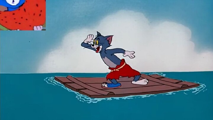 เปิดภูเขา Kuxing ตะวันออกเฉียงใต้ด้วยแนวทางทีมแมวและหนู