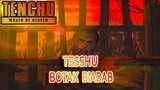 Will Tesshu Die Here? - Tenchu Wrath of Heaven #05