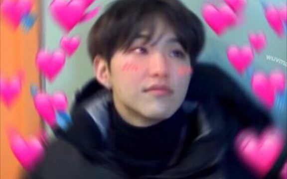 【seventeen】当小八摸茸茸脸脸，太可爱了吧，那时候脸上还有点肉肉