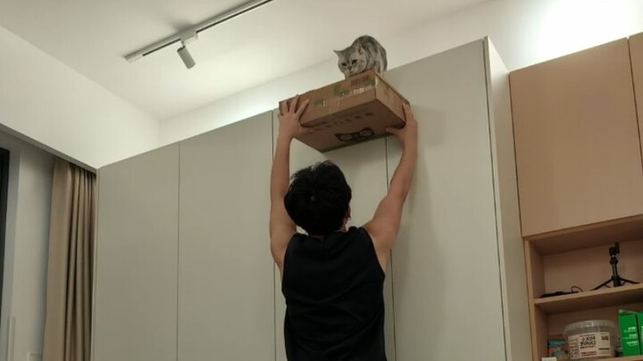 มาฝึกเจ้าเหมียวขี้กลัวอีกแล้ว