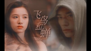 【FMV】Dịch Dương Thiên Tỉ - Trương Tịnh Nghi 易烊千玺 - 张婧仪 Jackson Yee - Zhang JingYi | 我不再是你的誰 - 師碩晗