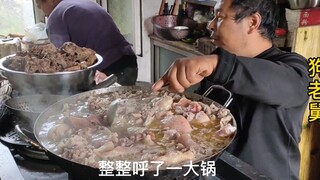 今天给60多只流浪狗改善生活，呼了一锅鸡肉，狗狗馋的直流口水