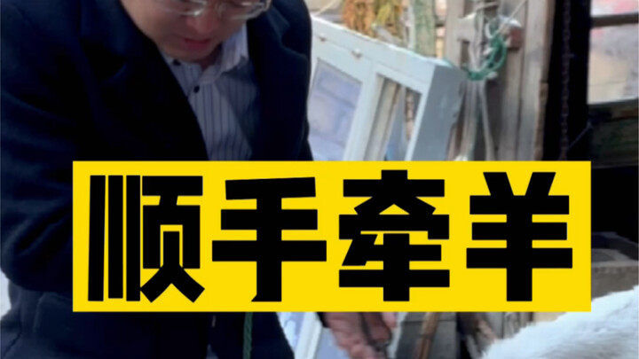 On the Matter of “The Sucker Driver Robbing Boss Pig Ribs”