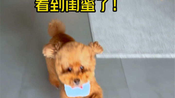 Tập 26 | Bữa sáng hôm nay khiến cả nhà vui hết cỡ!